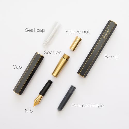 YSTUDIO Stunning Classic Revolve Fountain Pen, Schmidt Gilded Nib, Best Pen Gift Set for Men & Women, Professional, Executive Office, Nice Pens（black，M nib）