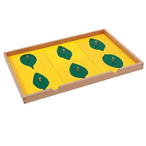 Children Teach Toys Montessori Botany Leaf Cabinet Leaf Four Cabinet Leaf-Shaped Panel Leaf Panel Cabinet Early Childhood Preschool Kids Toys