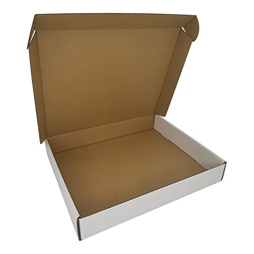 CH-BOX 100 Pack 13x11x2'' Small Shipping Boxes, Corrugated Cardboard Mailers for Business, White (CM13112-100)