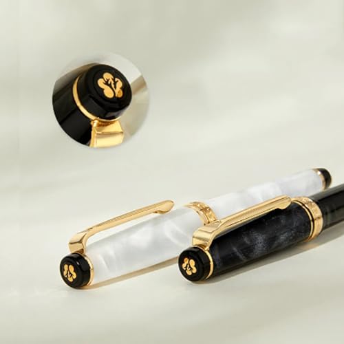 GAFNED Fountain Pen resin writing ink pens for Student Calligraphy Office School supplies Stationery Gift pens with EF F Nib(01,EF)