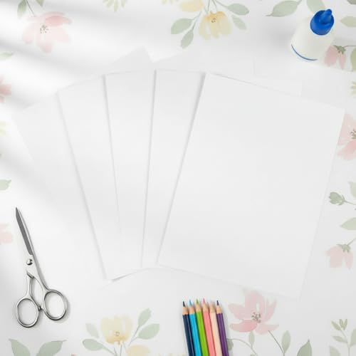 Vellum Bristol Cover Sheets, 67 Pound, (147 GSM) Smooth Finish, 250 Sheets Pack. – Cardstock for Crafting, Printing And More. (10, White, 8.5"x11")