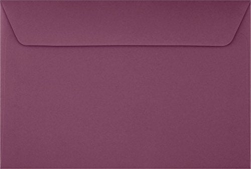LUXPaper 6 x 9 Booklet Envelopes | Vintage Plum | 80lb. Text | 1,000 Qty