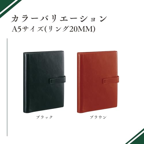 Raymei Fujii DSA3002C Personal Organizer, Da Vinci, Standard, A5, Brown