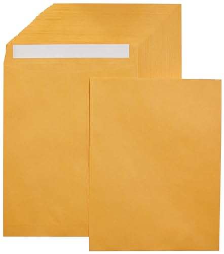 Amazon Basics Catalog Self Seal Mailing Envelopes, Peel and Seal, 10" x 13", Brown Kraft, 250-Pack