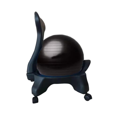 BXKCFYBSQ Balance Ball Chair with Wheels and Back Support