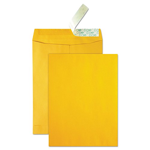 Quality Park High Bulk Catalog Envelope, 10 Inches x 13 Inches, Kraft, Redi-Strip, Box of 250 (41620)