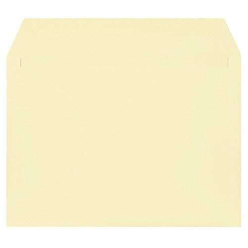 JAM PAPER 9 x 12 Booklet Strathmore Vellum Envelopes - Natural Cougar Ivory - 100/Pack