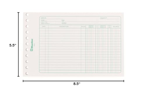 Blueline Mini-Ledger Sheets BS55