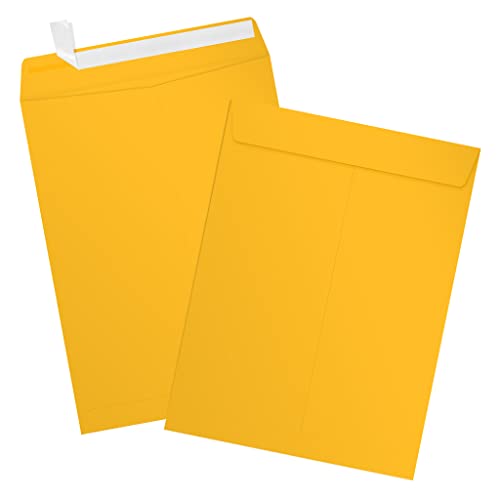 LUXPaper 9 x 12 Open End Envelopes | Peel & Press | Sunflower Yellow | 80lb. Text | 500 Qty