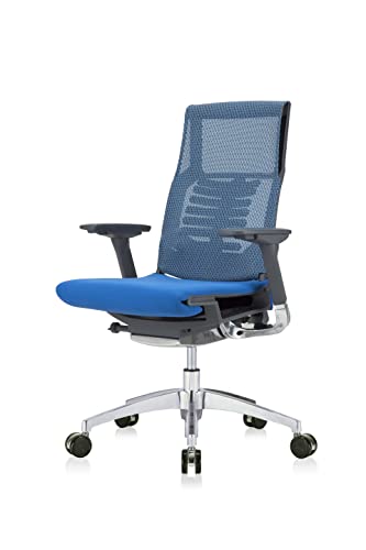 POwerFIT Exec Chair Blue Fabric SEAT/MESH Back-Charcoal Frame