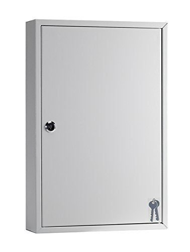 Arregui PL100 Safety Cabinet for 60 Keys with Adjustable Hooks, Grey, M