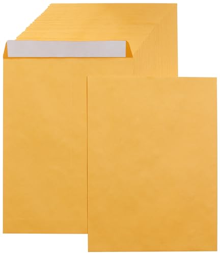 Amazon Basics Catalog Self Seal Mailing Envelopes for Documents, Peel and Seal, 9" x 12", Brown Kraft, 250-Pack
