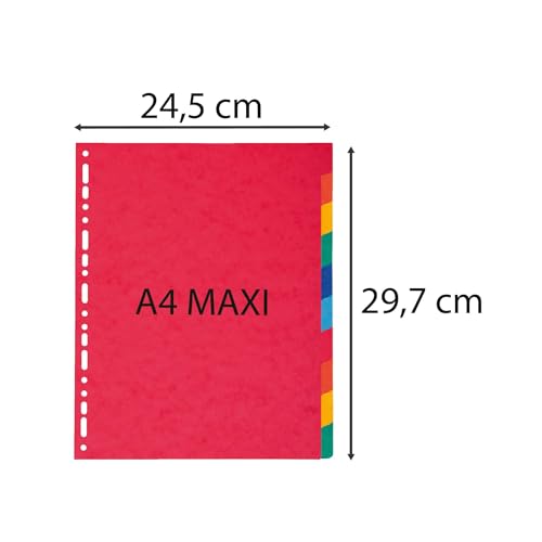 Exacompta - Ref 2410E - Box of 10 Dividers Made of Genuine Soft Glossy Card 225 g/m2 FSC® with 10 Neutral tabs - Format to File A4 Maxi - Dimensions 24.5 x 29.7 cm - Assorted Colours