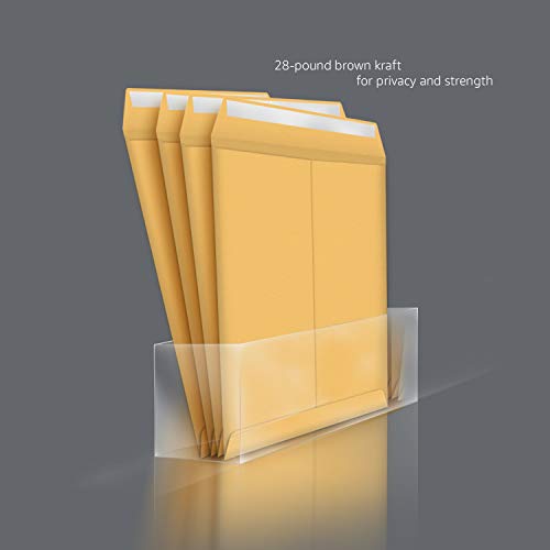 Amazon Basics Self Seal Catalog Mailing Envelopes for Documents, Peel and Seal, 6" x 9", Brown Kraft, 250-Pack