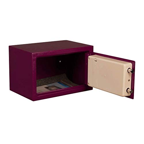 QWERAXZG Password Safe，Electronic Steel Safe with Keypad, 2 Manual Override Keys Money,for Home, Business or Travel
