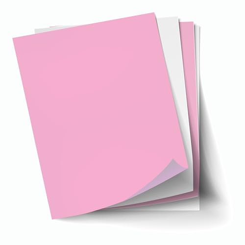 Alliance ExcelOne Carbonless Cut Print & Copy Paper, Letter Size, 92 Brightness, 21 Lb, 2-Part Pink/White (1 Ream)