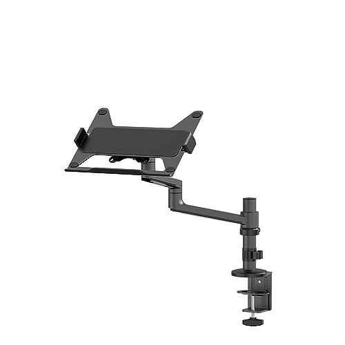 Newstar Neomounts DS20-425BL1 Next Lite Laptop Mount Desk Arm for 11.6-17.3" Laptops, Up to 5 kg (11 lb), Black