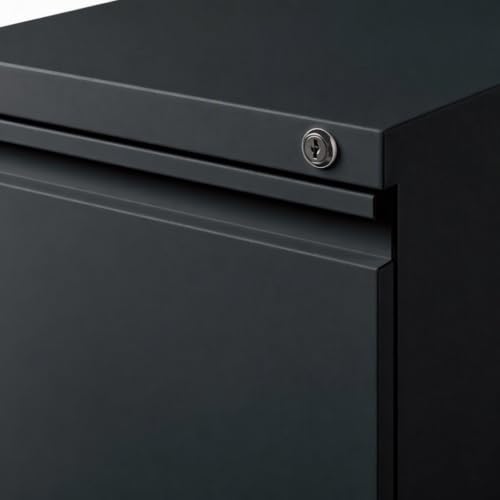 Scranton & Co Metal Mobile Pedestal Filing Cabinet, 23 in Deep, 2-Drawer File/File Configuration, Black Finish, Ball-Bearing Suspension, Hidden Casters, Lock Included, Letter File Storage, Office Use