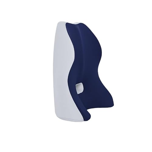 ICWRQLG Lumbar Support Cushion Seat Back Office Prolonged Sitting
