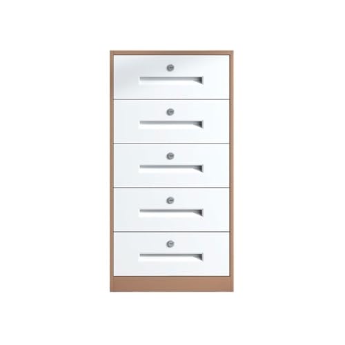 Steel Drawer Filing Cabinets for Home and Office, Multifunctional Storage Cabinet with Increased Capacity for Files and Data File Storage Cabinets (Bruin)