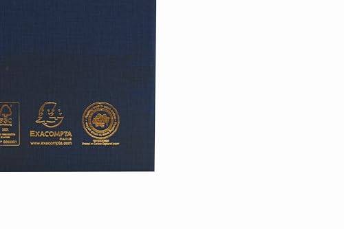 Exacompta Guildhall Account Book, 298 x 203 mm, 2 Debit and 10 Credit Columns, 80 Pages