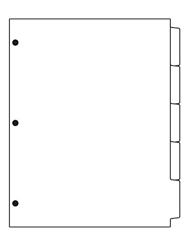 DocuCopy 1008 Index Tabs 110 lb Plain Paper 1/5 Cut Reverse Collated 3 Holes 1 Case/250 Sets/1250 Tabs