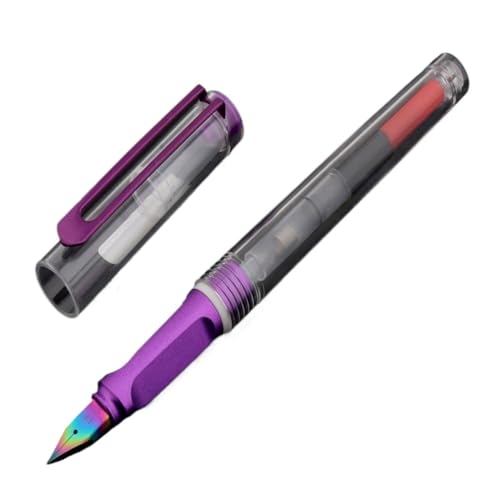 RYLMSM Transparent Color School Supplies Student Office Stationary Colors Nib Fountain Pen Ink
