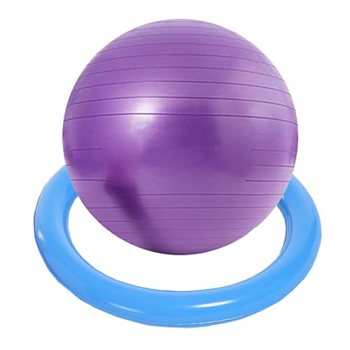SRNSAEB Exercise Ball Seat for Office Desk Height, Ergonomic Balance Ball Chair Stool for Home/Office/School/Gym/Prolonged Sitting, Height Adjustable Pilates Yoga Ball Chair(Purple,65cm(25 3/5in))