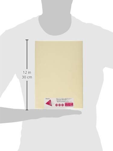 Nagatoya Shoten Na-3265 Colored Paper, A4, Medium, Thick, 500 Sheets, Ivory