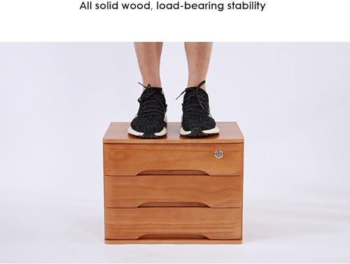 HSTBLEOO Wooden Desktop Storage Box With Lockable Drawers, Office Supplies A4/Receipt File Organizer, Flat File Cabinet(C,1 drawer)