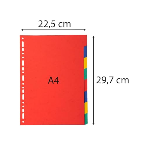 Exacompta - Ref 2008E - 25 Index Recycled Card 220gsm Card with 8 Neutral Tabs - A4 Filing Format 22.5 x 29.7cm