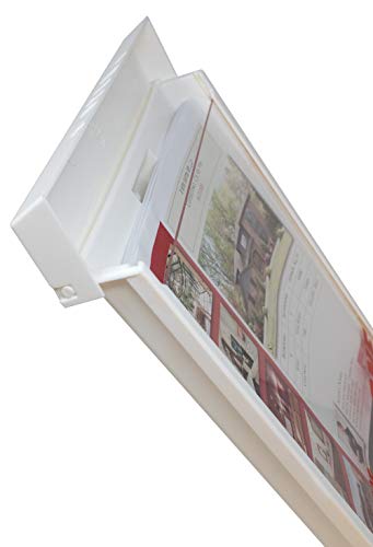 Mediz Outdoor Real Estate Brochure Flyer Box with Snap Shut Lid, Take One Document Holder, 100 - 8.5 x 11 Documents, Flyers, Literature, Notice and Other Outdoor Marketing Needs