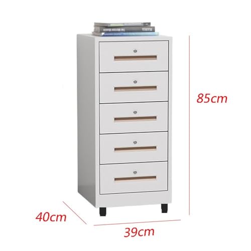 Cabinet File Cabinet Study Storage Cabinet for Living Room 5 Layer Large Capacity File Cabinet Office Data Organizer Acer Plate Storage Cabinet