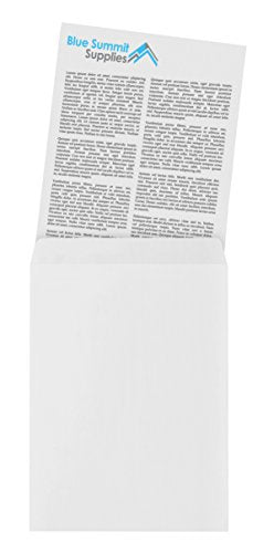 10 9 X 12 Self Seal Security Catalog Envelopes - Designed for Secure Mailing - Securely Holds up to 60 Sheets of Paper with Strong Peel and Seal Flap (10 Envelopes)