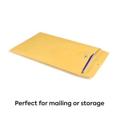 Staples 6.5x9.5 Kraft Clasp Envelopes, Brown, Gummed Flap, 100/Pk