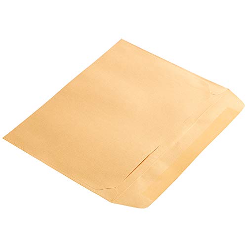 JAM PAPER 9 x 12 Open End Catalog Metallic Envelopes - Gold Stardream - 50/Pack