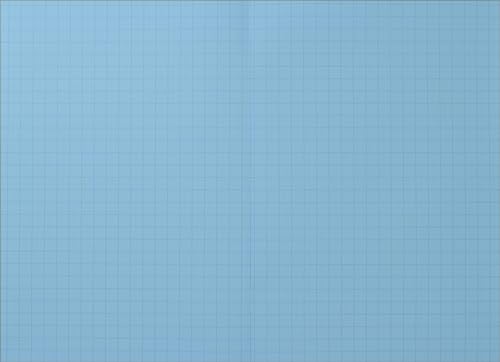 Rhino A4 Tinted Exercise Book | 10mm Squared | Yellow Cover | Blue Tinted Paper | 48 Page / 10-Pack - Ideal Dyslexia & SEN Maths Exercise Book