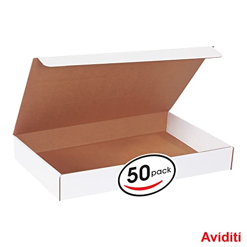 BOX USA White Literature Mailing Boxes, 19" x 12" x 2 1/2", Pack of 50, Crush-Proof, For Shipping, Mailing and Storing