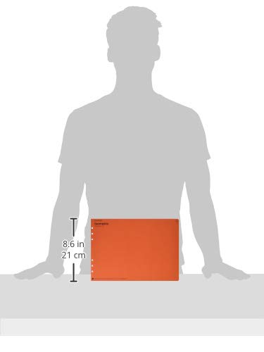 PLOTTER 77716545 Memo Pad Refill, A4, Isometric, 40 Sheets, 2 Packs