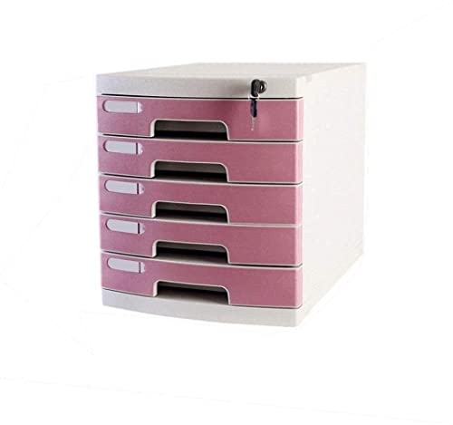GFSGHZZ Lockable File Cabinet - 5 Layer Plastic Office Filing Box for Secure Data Storage and Confidential Document Nizer - Desktop Solution for Home & Office Use