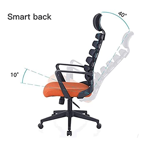 Office Desk Chairs Office Chairergonomic Desk Chaircreative Spinefish Bonecomputer Chairadjustable Managerial Chairs Home Executive Chairs Lumbar Support