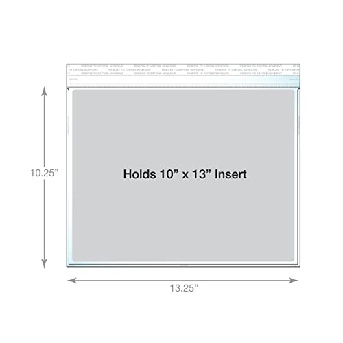 EnvyPak Clear Booklet Envelopes, 10.25 x 13.25 Inches, 4.5 Mil Heavy Duty Polypropylene, Permanent Peel & Stick Closure, Fits 9.25 x 12.25 Inserts, Made in USA (500)