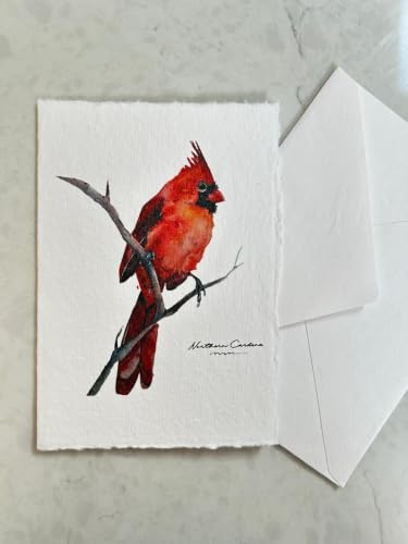 WANDERINGS Handmade Deckle Edge Blank Greeting Cards & Envelopes with Bird Art - 300 GSM Paper– 20 Cards (5 Each of 4 Varieties) for Invitations, Thank Yous, Get Well and Birthday Cards –5" x 7"