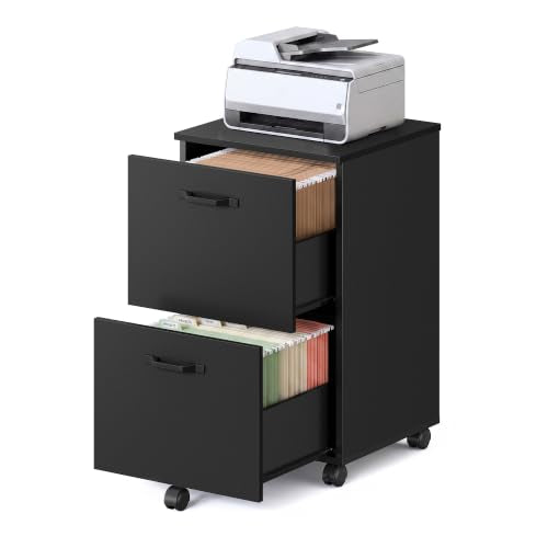 VASAGLE CUSTOS Collection - 2-Drawer File Cabinet, Small Rolling Filing Cabinet for Home Office, Printer Stand, for A4, Letter-Size Documents, 15.7 x 16.5 x 27.6 Inches, Matte Black UOFC040B16V2S