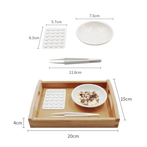 lstyty Montessori Tweezers Transfer & Sorting Set, with Wooden Tray, Ceramic Bowl, Plastic Tweezers & Sorting Board