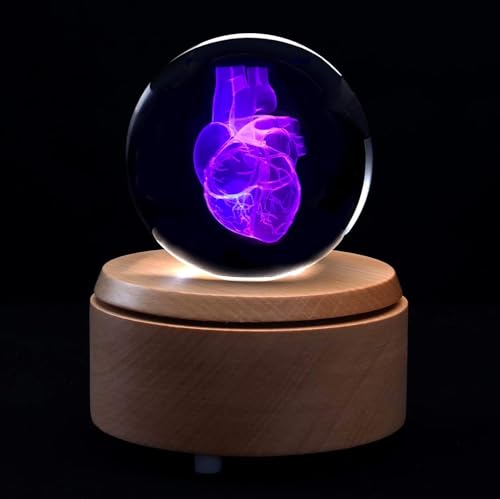 LKJUIO Crystal Glass Ball Human Heart Anatomical Model Paperweight Laser Etched in Crystal Glass Ball Science Teaching Tool Included Base