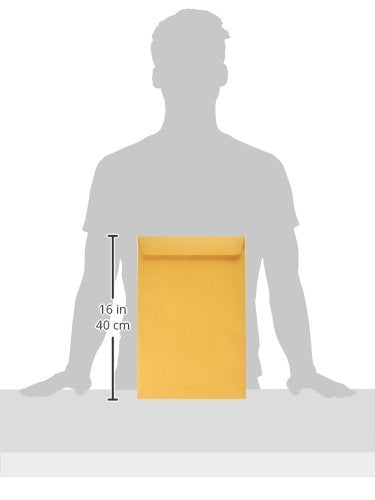 QUA41765 - Quality Park Catalog Envelope