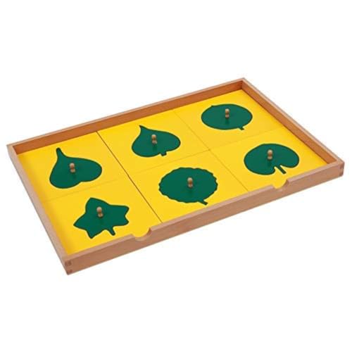 Children Teach Toys Montessori Botany Leaf Cabinet Leaf Four Cabinet Leaf-Shaped Panel Leaf Panel Cabinet Early Childhood Preschool Kids Toys