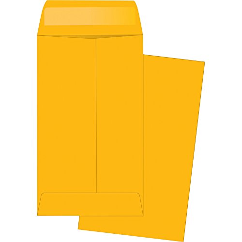 Business Source BSN04441 - Little Coin Kraft Envelope