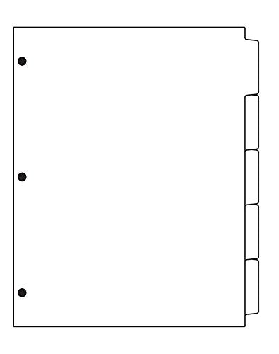 DocuCopy 1028 Index Tabs 90 lb Plain Paper 1/5 Cut Straight Collated 3 Holes 1 Case/250 Sets/1250 Tabs